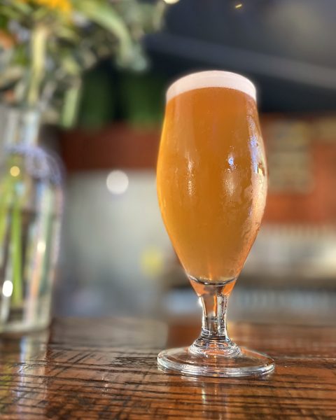 Golden hazy beer in a tulip glass on the bar