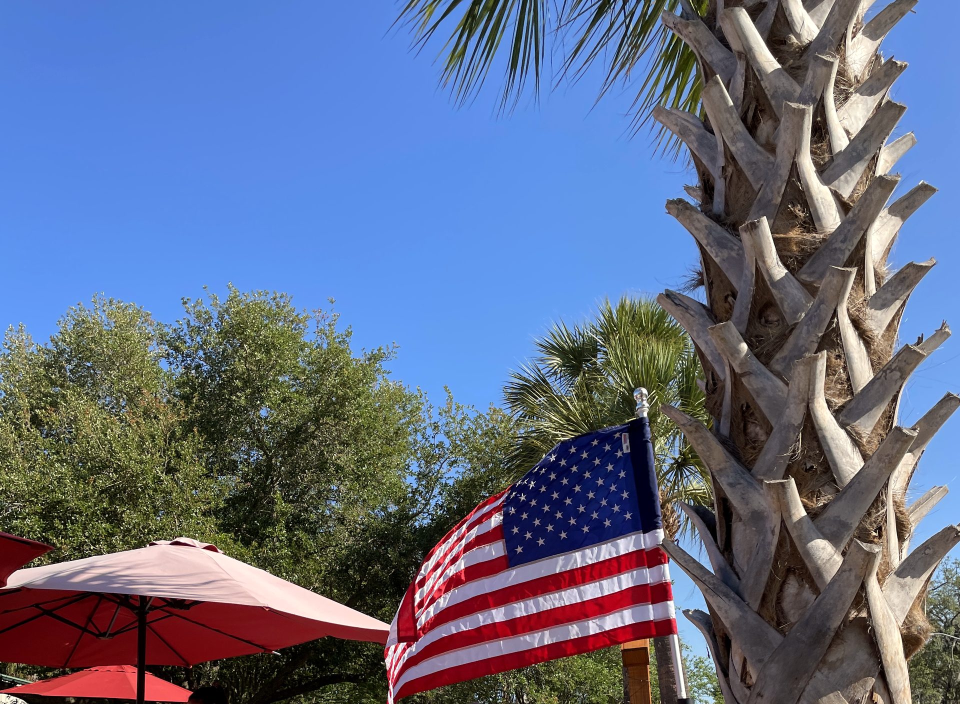 Red umbrellas, an American flag and a palm tree over the patio on a sunny day