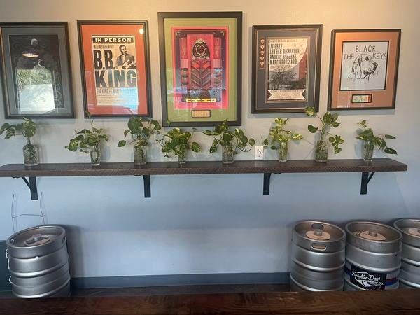 Framed beer art posters above a row of kegs