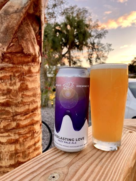 An Everlasting Love can and a pint of hazy beer on a wooden rail beside a palm trunk at sunset