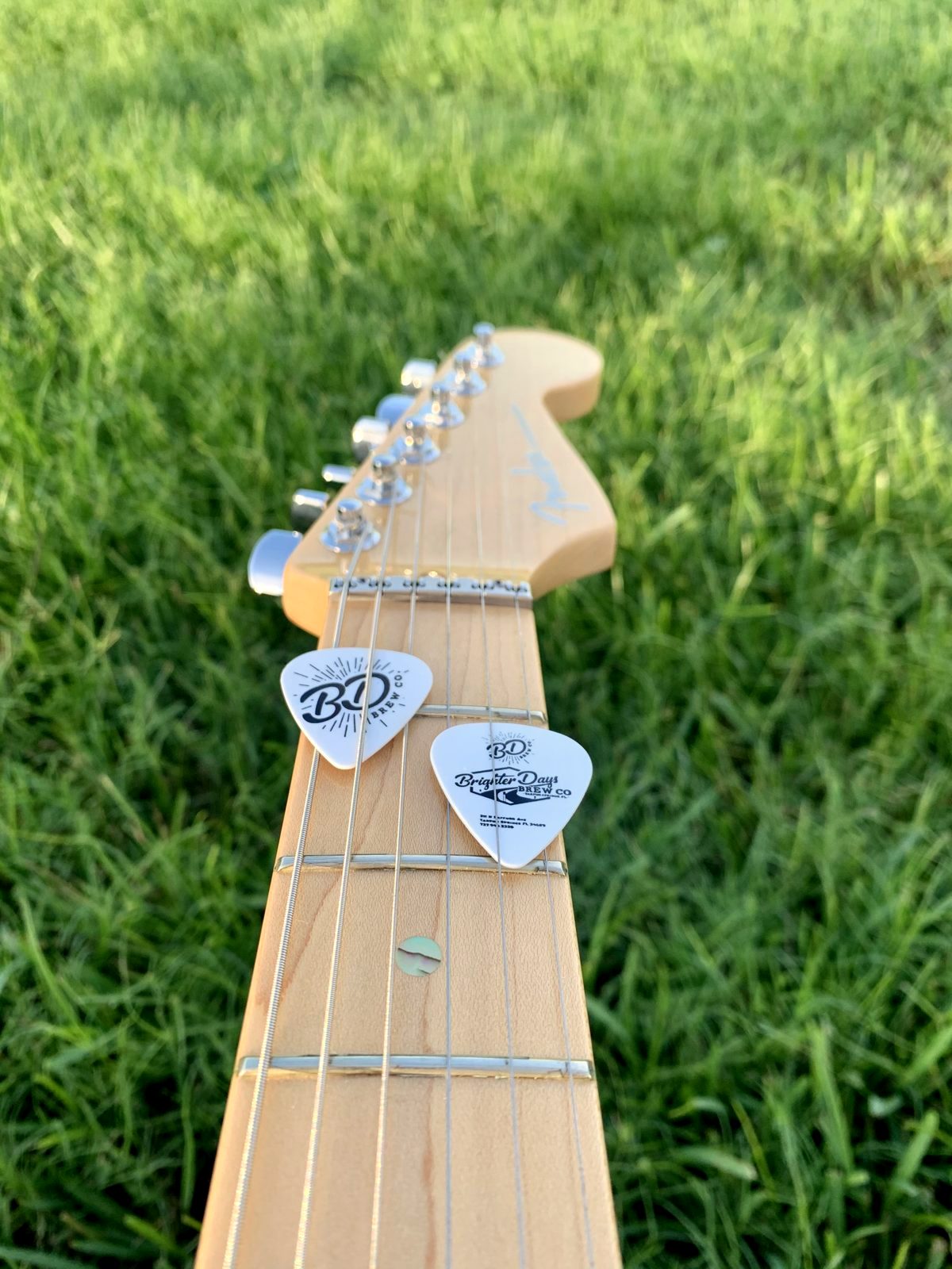 Two white Brighter Days Brew Co. guitar picks tucked under the strings of a Fender guitar neck lying on green grass