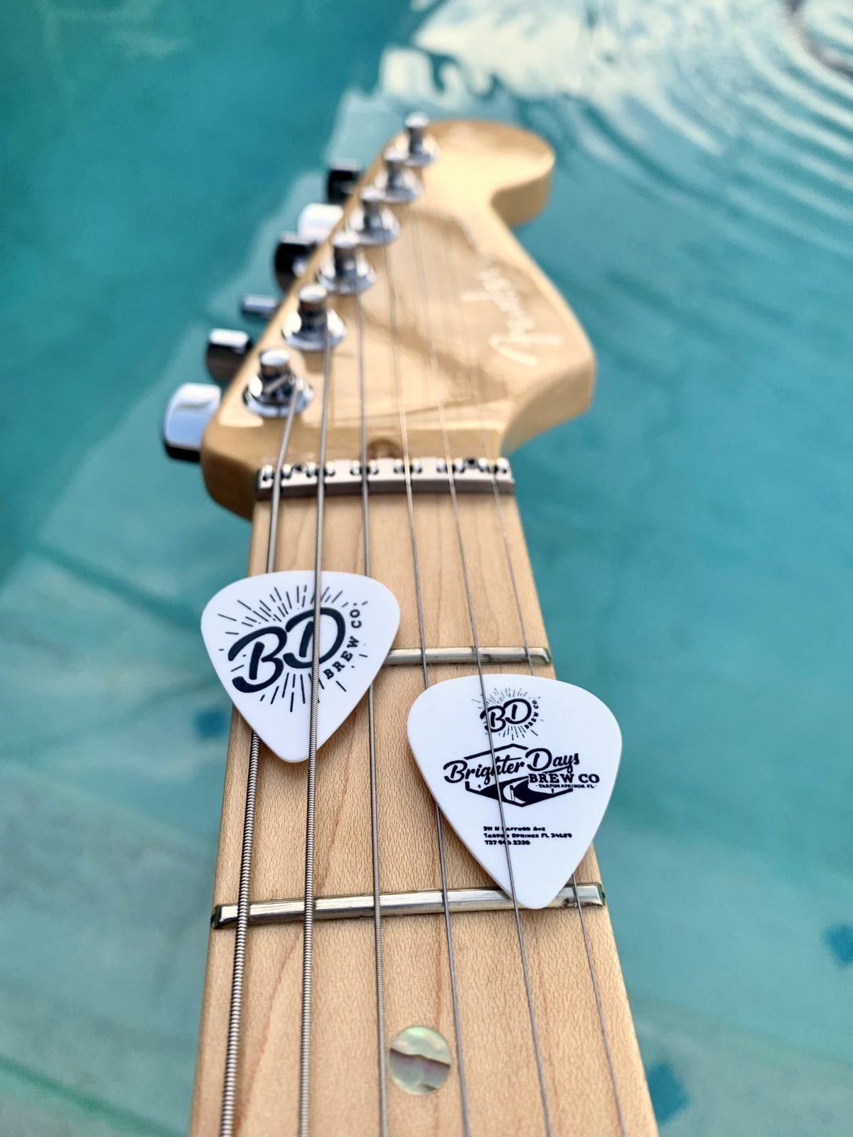 Two white Brighter Days Brew Co. guitar picks tucked under the strings of a Fender guitar neck, held over a blue pool