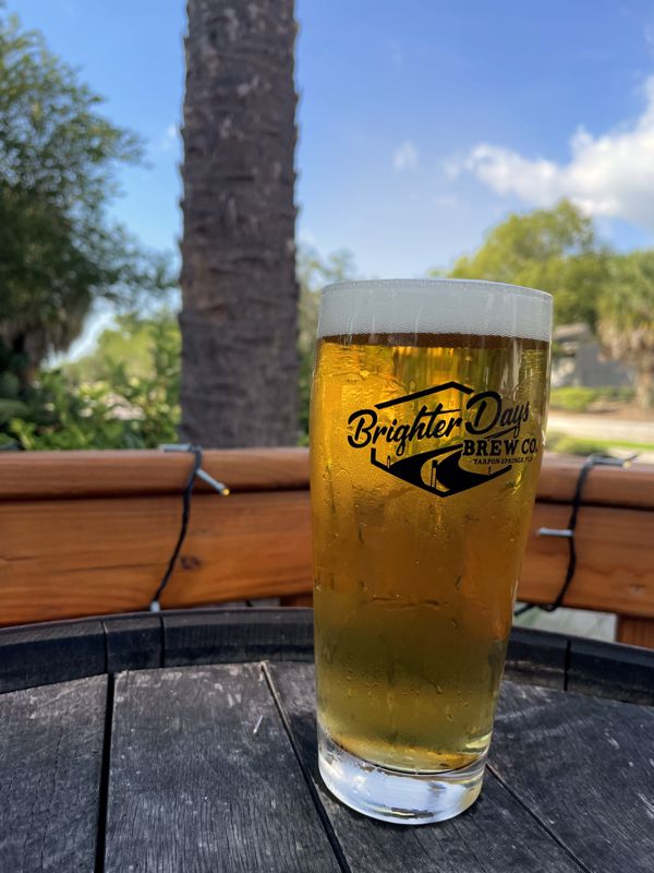 Pint of golden beer in a Brighter Days logo glass on a barrel top, with palm trees and blue sky behind