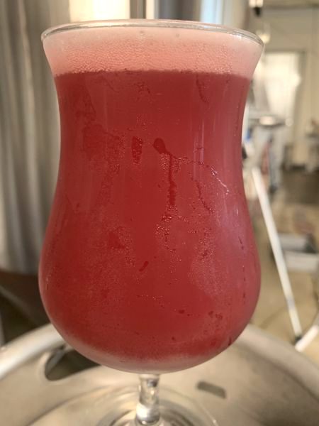 A tulip glass of red sour beer with brewhouse equipment behind it
